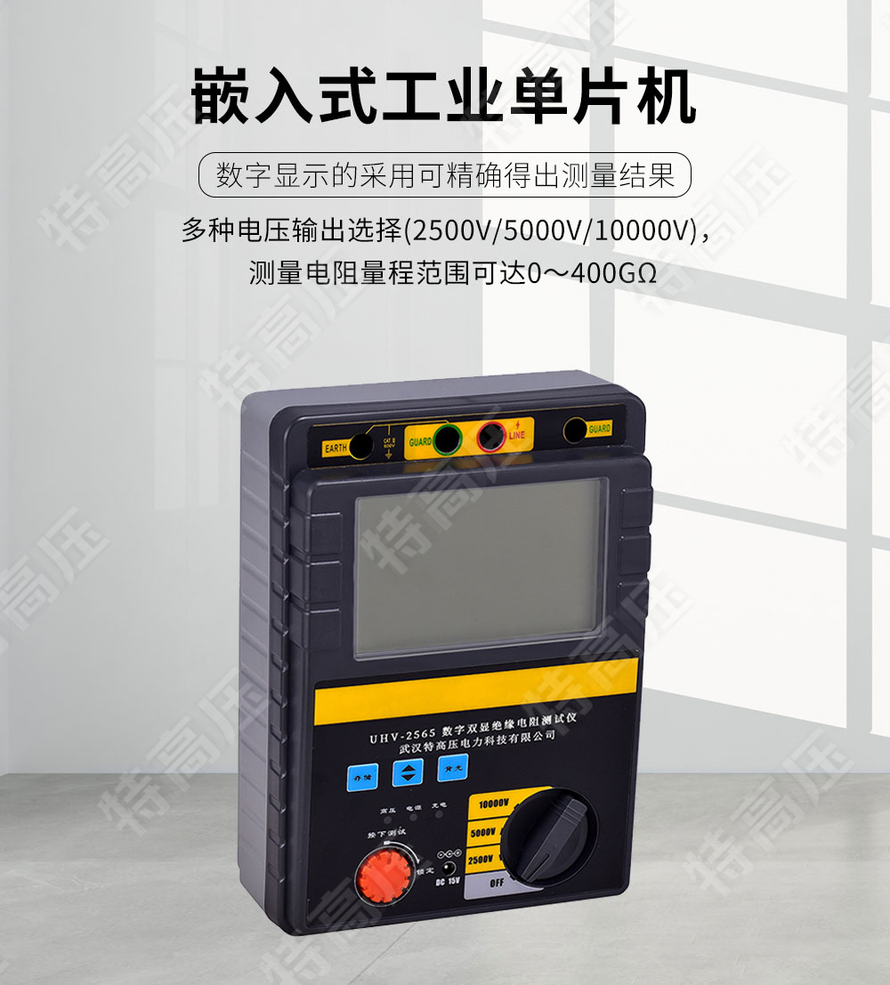 絕緣電阻檢測儀