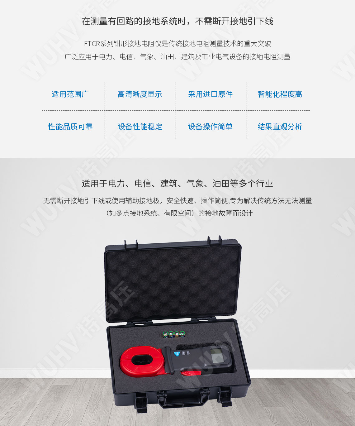 ETCR2000 鉗形接地電阻測試儀(圖2) 鉗形接地電阻測量儀